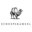 Scheepskameel
