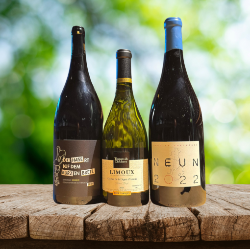 Winterbach Aktiv: Exklusive Weine, besondere Entdeckungen und Genuss bei Daniel’s Weine